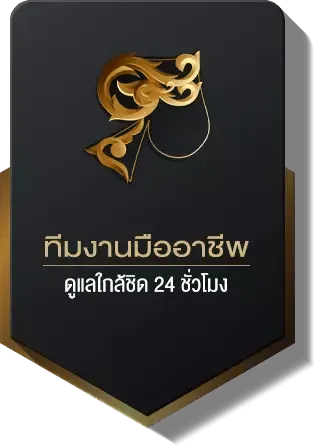 ทีมงานมืออาชีพ BY 123 sabuy